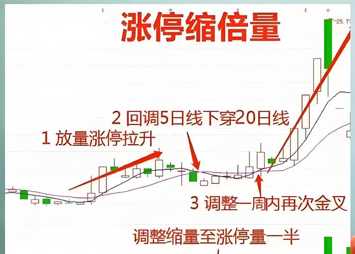 次新股估值分析_杭州次新股票有哪些_次新股涨停潮分析