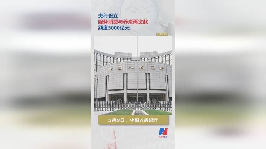 小额贷款公司试点指导意见_利率上限规定致无利可图_阳光小额借贷有限公司