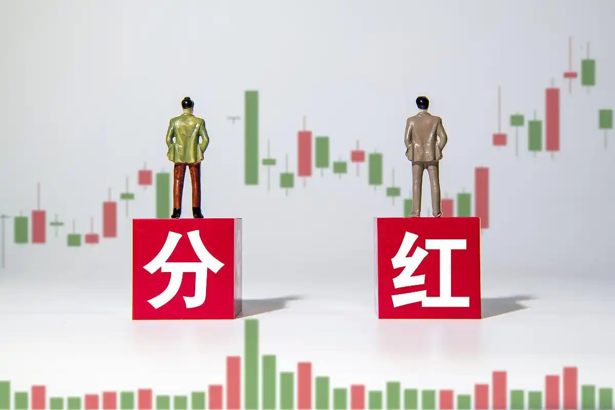 长期持有分红股票技巧_一般股票除权日前买还是后买_分红股票买入时机策略