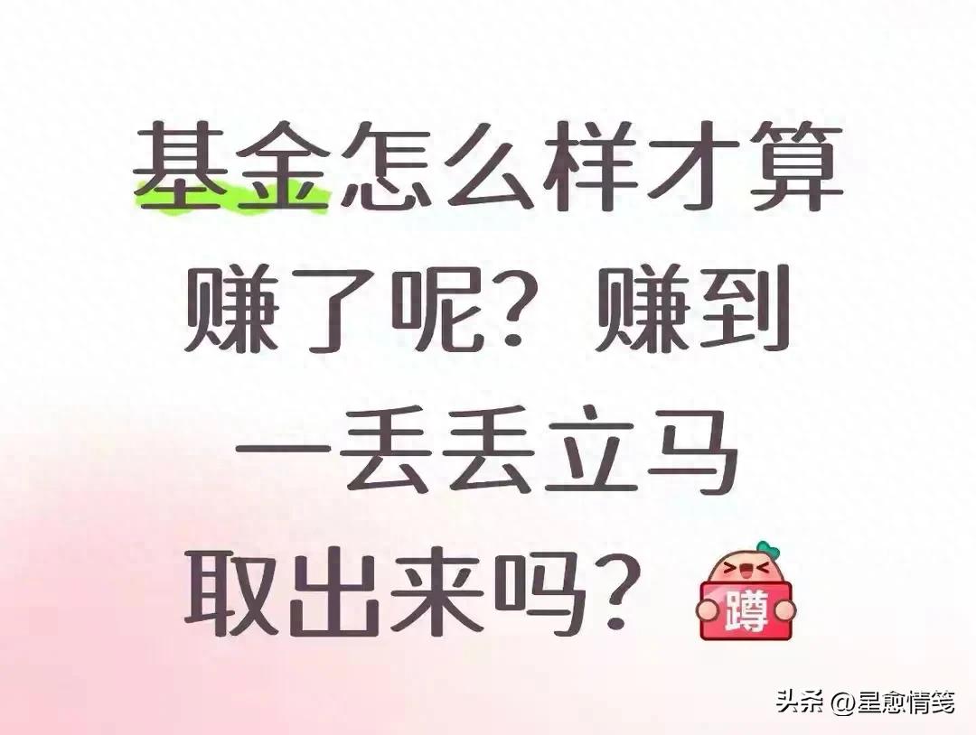 基金止盈止损策略_基金长期投资收益逻辑_百赚利滚利版基金代码