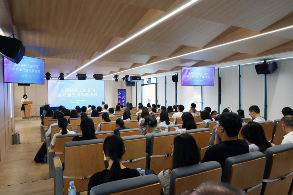 2025 年 6 月 6 日东莞上市公司高质量发展培训，新政解读