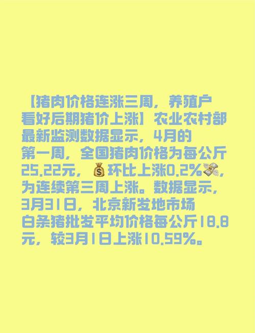 生猪期货走势预测_猪肉期货走势_猪肉价格反弹分析