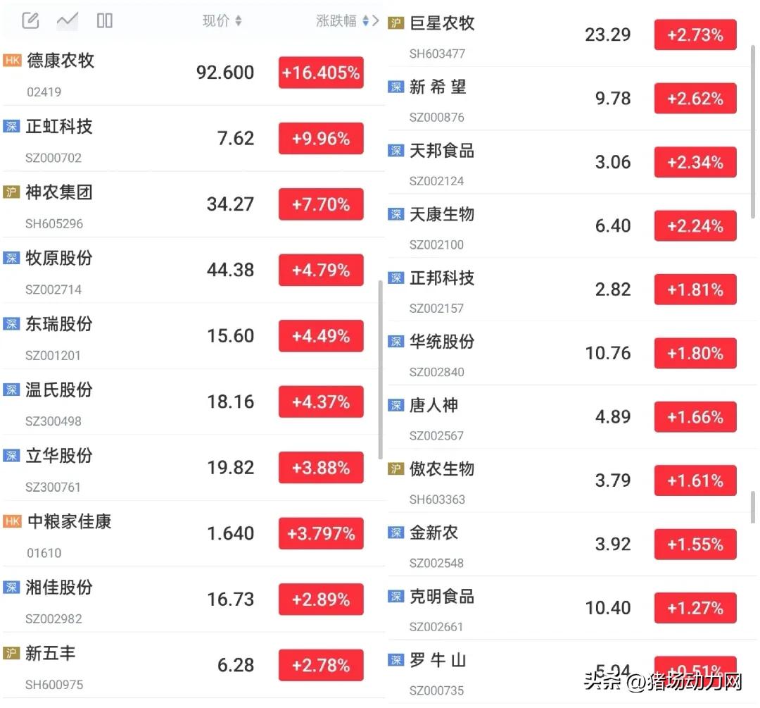猪肉期货走势_生猪行业亏损_猪价回涨