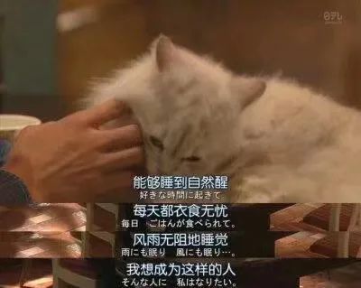 年轻人职业规划_工作满意度与财务平衡_现在年轻人到底该做什么赚钱