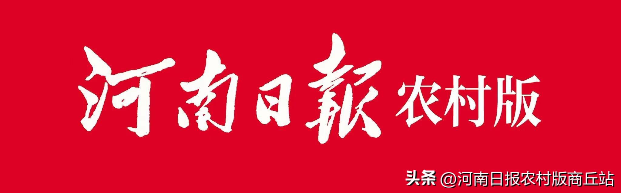 河南夏邑电商发展指数_夏邑县农村电商经验分享_推动农村电商做大做强