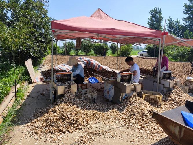 未来中药材生意好做吗_中药材价格持续上涨_中药材市场供需矛盾