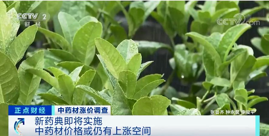 中药材价格上涨原因_未来中药材生意好做吗_疫情影响中药材价格