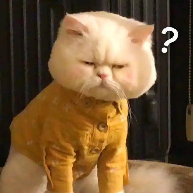 贷款结清凭证_离婚信用卡逾期 房屋解押手续 维权