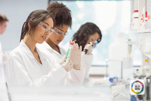 真相|出国留学？海外热门专业申请指南（二）