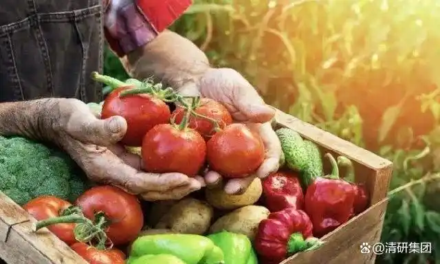 乡村振兴战略_农产品上行困境_农产品上行遇到的问题