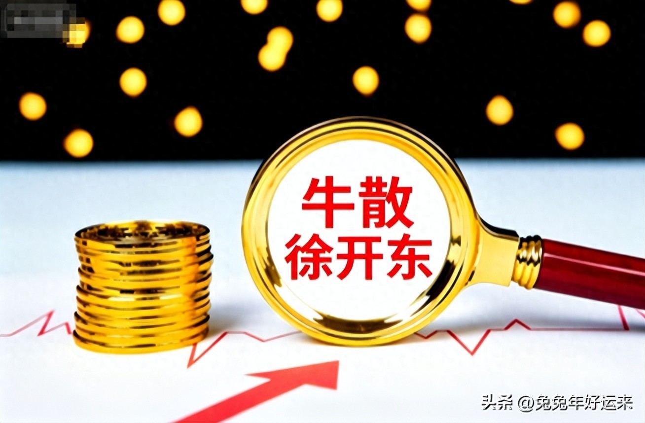 赵美贞牛散徐开东持仓全跌，低价股反弹是春天吗？