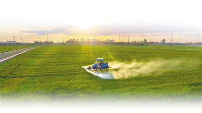 合作社带动作用_高素质农民培训_新型职业农民培育