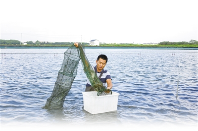 新型职业农民培育_合作社带动作用_高素质农民培训