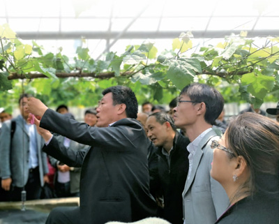 新型职业农民培育_高素质农民培训_合作社带动作用