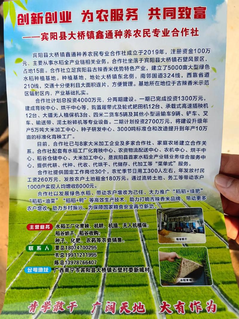 合作社如何带动增收？看这个县的妙招