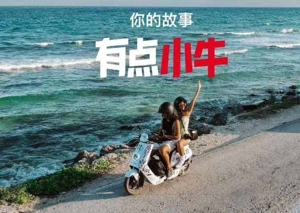 回顾电动自行车发展历程，看其如何从草根走向精发展